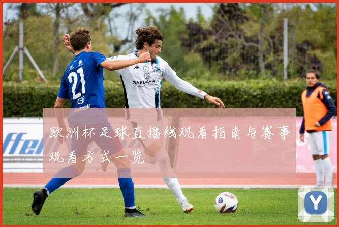欧洲杯足球直播线观看指南与赛事观看方式一览