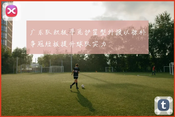 广东队积极寻觅护筐型外援以弥补争冠短板提升球队实力