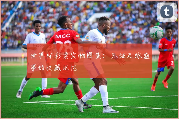 世界杯彩票实物图集：见证足球盛事的收藏记忆