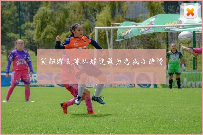 英超哪支球队球迷最为忠诚与热情