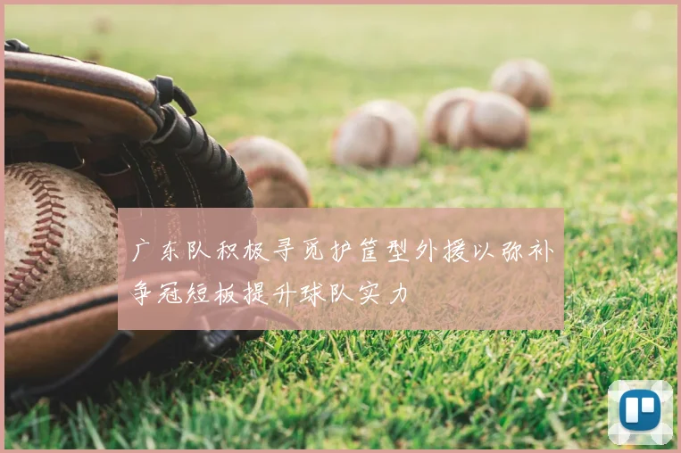 广东队积极寻觅护筐型外援以弥补争冠短板提升球队实力