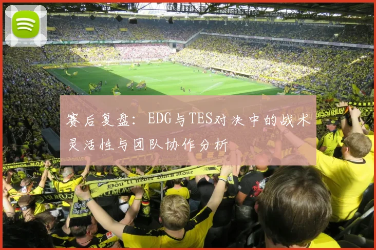 赛后复盘:EDG与TES对决中的战术灵活性与团队协作分析