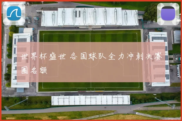世界杯盛世 各国球队全力冲刺决赛圈名额