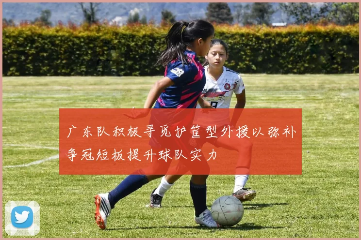 广东队积极寻觅护筐型外援以弥补争冠短板提升球队实力