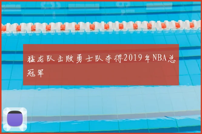 猛龙队击败勇士队夺得2019年NBA总冠军