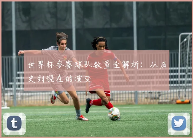 世界杯参赛球队数量全解析:从历史到现在的演变
