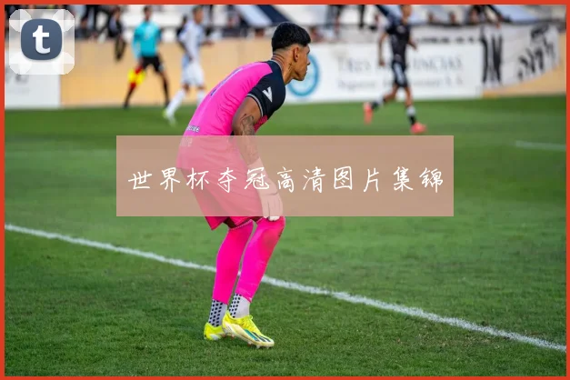 世界杯夺冠高清图片集锦