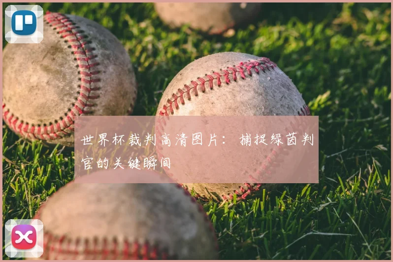 世界杯裁判高清图片:捕捉绿茵判官的关键瞬间