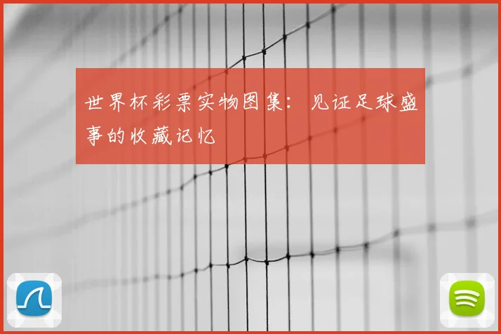 世界杯彩票实物图集：见证足球盛事的收藏记忆