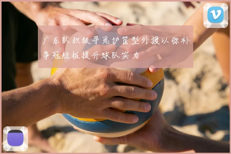 广东队积极寻觅护筐型外援以弥补争冠短板提升球队实力