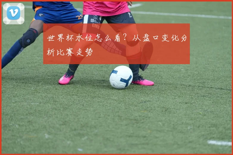 世界杯水位怎么看?从盘口变化分析比赛走势