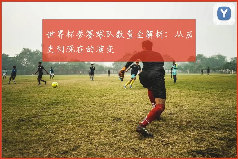 世界杯参赛球队数量全解析:从历史到现在的演变
