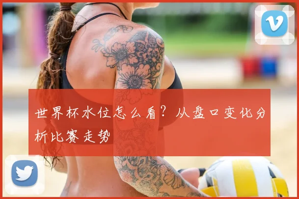 世界杯水位怎么看?从盘口变化分析比赛走势